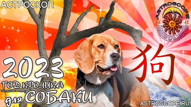 китайский гороскоп на год тигра 2023 для Собаки