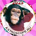 Год Обезьяны