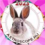 Год Кролика