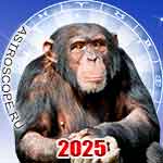 Год Обезьяны