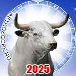 Год Быка