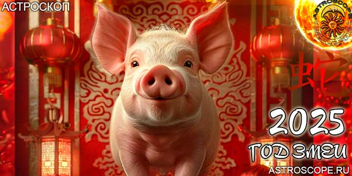 китайский гороскоп на год змеи 2025 для Свиньи