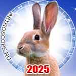 Год Кролика