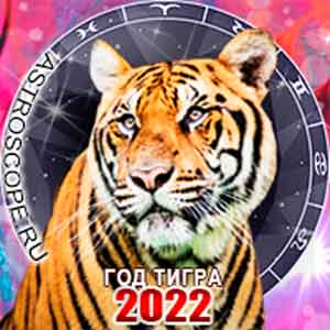 Гороскоп на 2022 год черного Тигра
