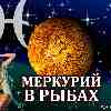 Меркурий в Рыбах (14.02-03.03.2025) прогноз для всех