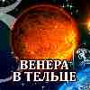 Венера в Тельце для Овна (15.05-03.06) прогноз для вашего знака