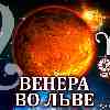 Венера во Льве для Овна: прогноз для вашего знака с 25 августа по 19 сентября