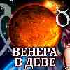 Венера в Деве для Тельца (05–29.08.2024) прогноз для вашего знака