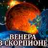 Венера в Скорпионе для Тельца (23.09–17.10.2024) прогноз для вашего знака зодиака