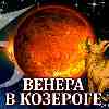 Венера в Козероге для Тельца (11.11–07.12.2024) прогноз для вашего знака зодиака