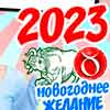 Новогоднее желание Тельца на 2023 год