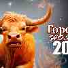 Гороскоп Тельцов на ноябрь 2024