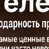 Телец 20 июля: Благодарность простоте жизни