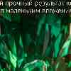 Телец, энергия 9 июня: Почему маленькое усилие сегодня принесет лавинообразную отдачу