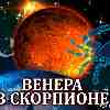 Венера в Скорпионе для Рака (23.09–17.10.2024) прогноз для вашего знака зодиака
