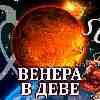 Венера в Деве для Льва (05–29.08.2024) прогноз для вашего знака