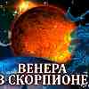 Венера в Скорпионе для Льва (23.09–17.10.2024) прогноз для вашего знака зодиака