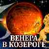 Венера в Козероге для Льва (11.11–07.12.2024) прогноз для вашего знака зодиака