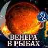 Венера в Рыбах для Льва (03.01-04.02.2025) прогноз для вашего знака зодиака