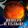 Венера в Тельце для Девы (15.05-03.06) прогноз для вашего знака