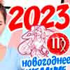 Новогоднее желание Девы на 2023 год
