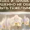 ♍ Дева, энергия 3 мая: Капитализация удовольствия