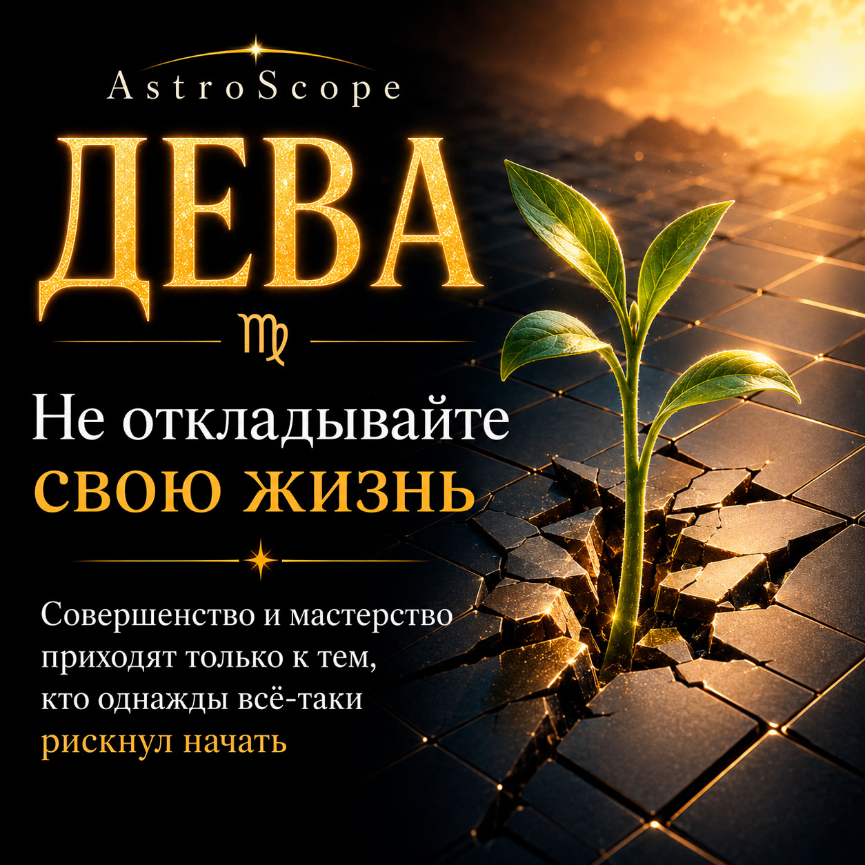 ♍ Дева, энергия 26 июля: Не откладывайте свою жизнь
