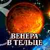 Венера в Тельце для Весов (15.05-03.06) прогноз для вашего знака