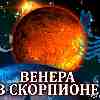 Венера в Скорпионе для Скорпиона (23.09–17.10.2024) прогноз для вашего знака зодиака