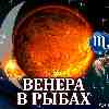 Венера в Рыбах для Скорпиона (03.01-04.02.2025) прогноз для вашего знака зодиака