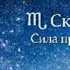 ♏️ Скорпион — Сила притяжения