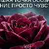 ♏ Скорпион, энергия 3 мая: Доверие к моменту и отказ от сканирования