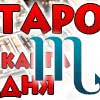 Таро прогноз Скорпиона на сегодня 28 октября 2025