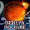 Венера во Льве для Стрельца: прогноз для вашего знака с 25 августа по 19 сентября