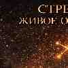 Стрелец: Включайся в диалог, а не читай лекции
