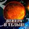 Венера в Тельце для Козерога (15.05-03.06) прогноз для вашего знака