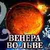 Венера во Льве для Козерога: прогноз для вашего знака с 25 августа по 19 сентября