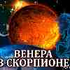 Венера в Скорпионе для Козерога (23.09–17.10.2024) прогноз для вашего знака зодиака
