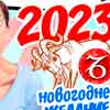 Новогоднее желание Козерога на 2023 год