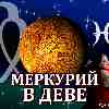 Меркурий в Деве для Рыб (09.09-26.09.2024) ✨ Прогноз для вашего знака зодиака