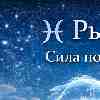 ♓️ Рыбы — Сила понимания