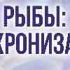 Рыбы 13 марта: Эпицентр личной силы и стопроцентное доверие себе